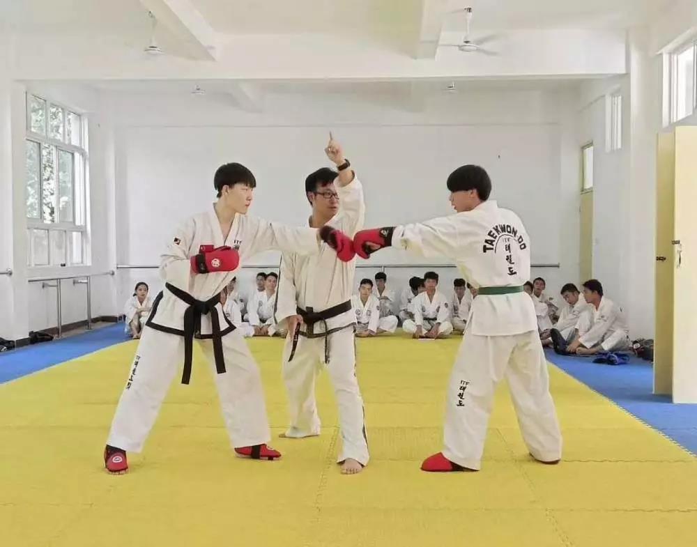 学校跆拳道专业课名师指导教学
