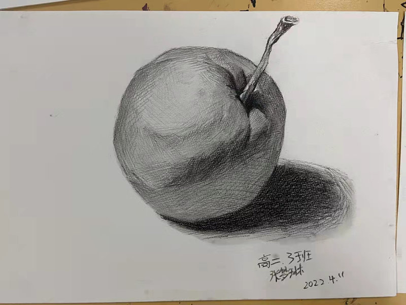 德阳弘正美术课学生日常作品