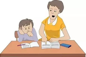 首选专业OR首选学校